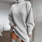 Solid Turtleneck Long Sweater Winter Warm Women Sweater Dres | Vibra Cloth