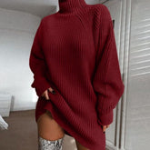 Solid Turtleneck Long Sweater Winter Warm Women Sweater Dres | Vibra Cloth