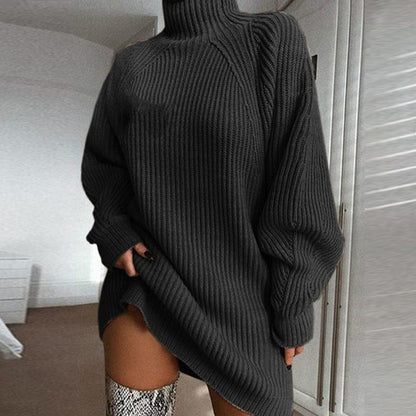 Solid Turtleneck Long Sweater Winter Warm Women Sweater Dres | Vibra Cloth