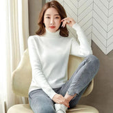 Turtle Neck Winter Sweater Women Elegant Thick Warm Female | Vibra Cloth
