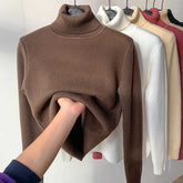 Turtle Neck Winter Sweater Women Elegant Thick Warm Female | Vibra Cloth